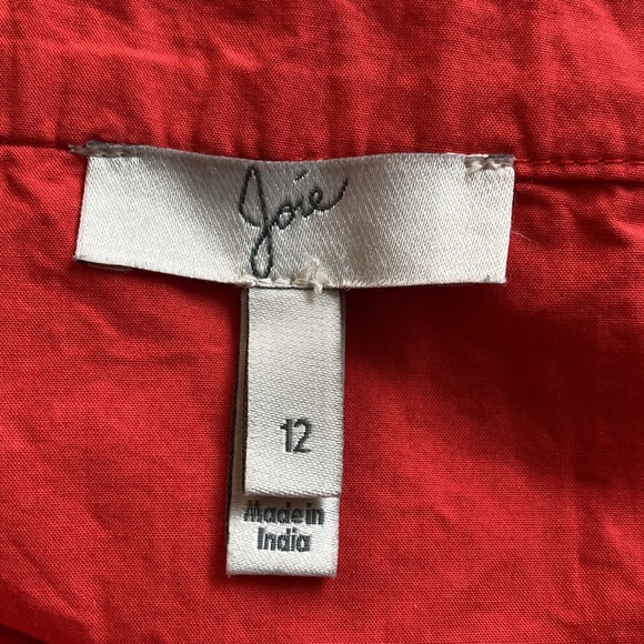 Josie - Picture 4 of 5